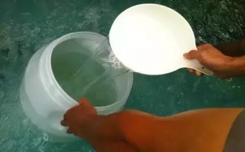 高效杀菌剂 高效杀菌剂